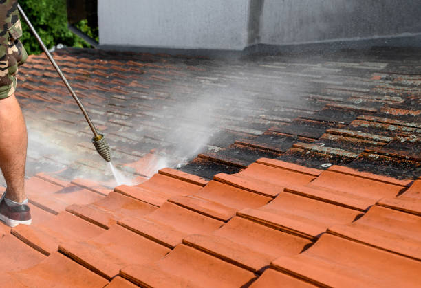 Best Sidewalk Pressure Washing  in Newk, AR