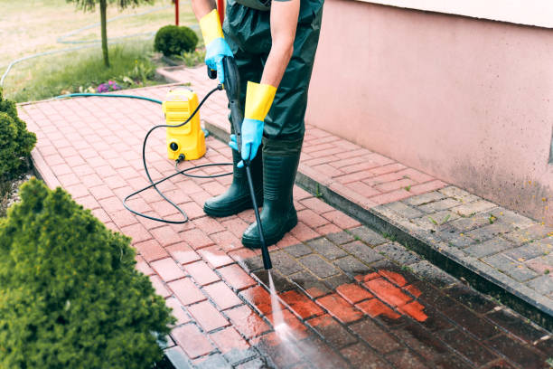 Best Roof Power Washing Services  in Newk, AR