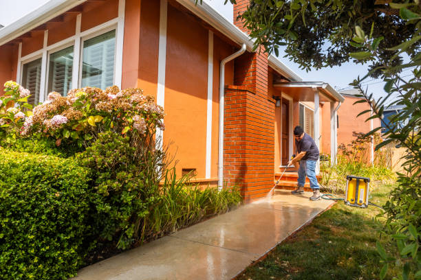 Local Pressure Washing Services in Newark, AR